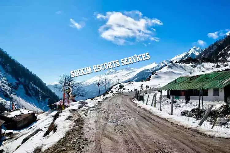 Sikkim Escorts Service