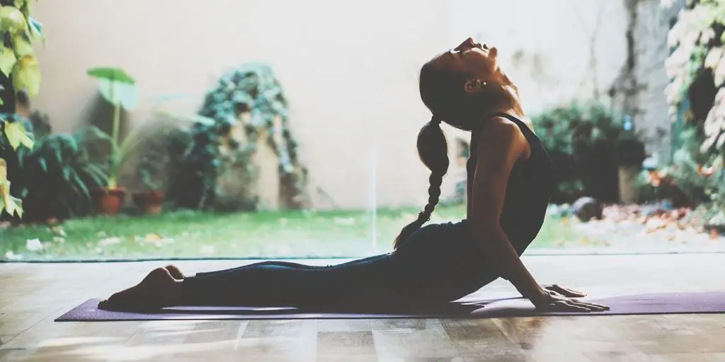 Bhujangasana or Serpent Pose Bhujangasana or Serpent Pose
