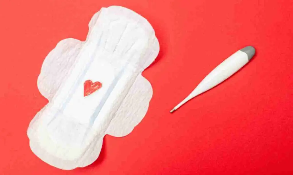 How menstruation escorts How menstruation escorts